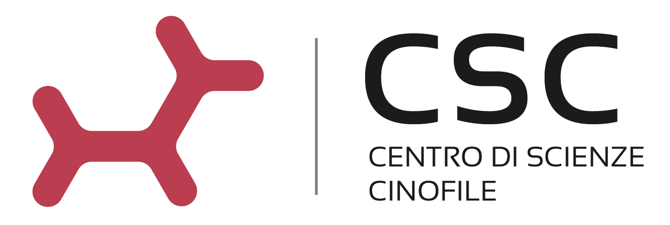 CSC logo